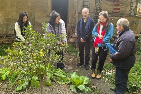 2026年2月四川都江堰入戶探訪